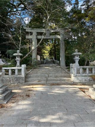 櫻井神社の参拝記録(みやごんさん)