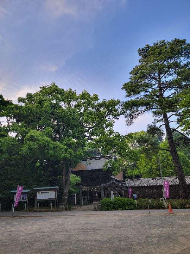 櫻井神社の参拝記録4