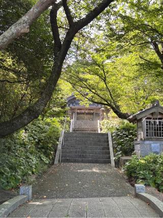 鎮懐石八幡宮の参拝記録(ほちさん)