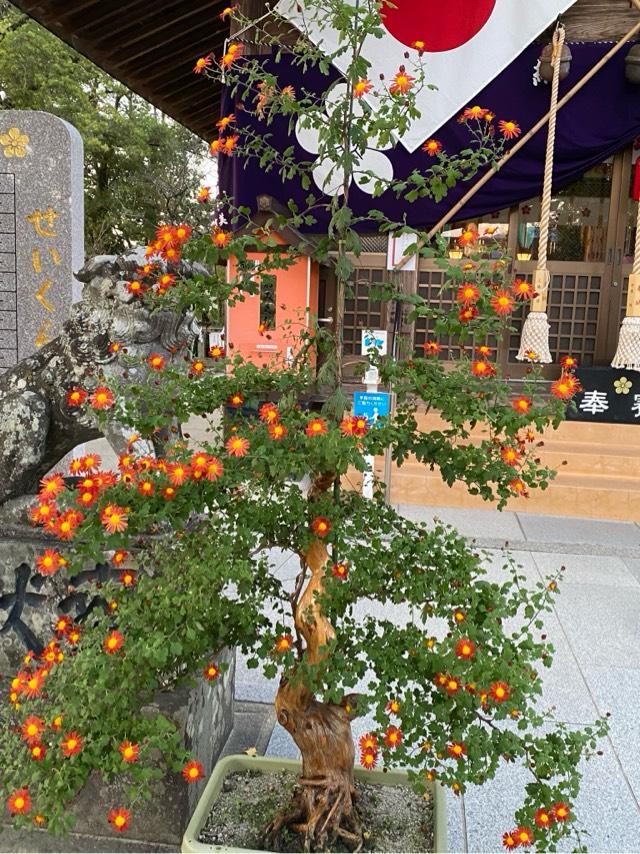 産宮神社の参拝記録8