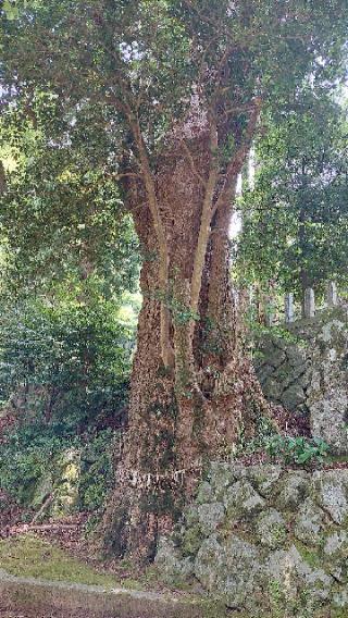 雷神社(糸島)の参拝記録(るびーさん)