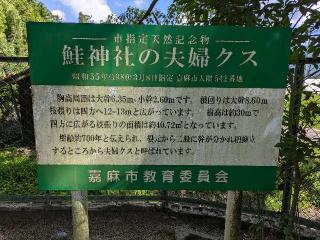 鮭神社の参拝記録(シキさん)