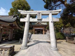 春日神社の参拝記録(太陽さん)
