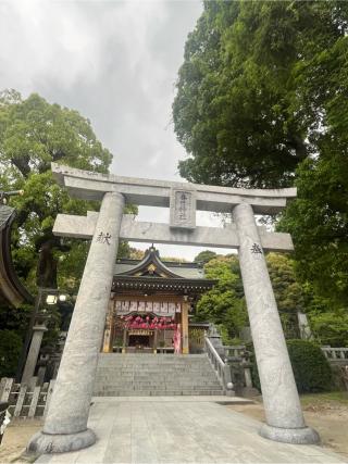 春日神社の参拝記録(りんさん)
