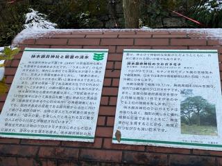 味水御井神社の参拝記録(みつをさん)