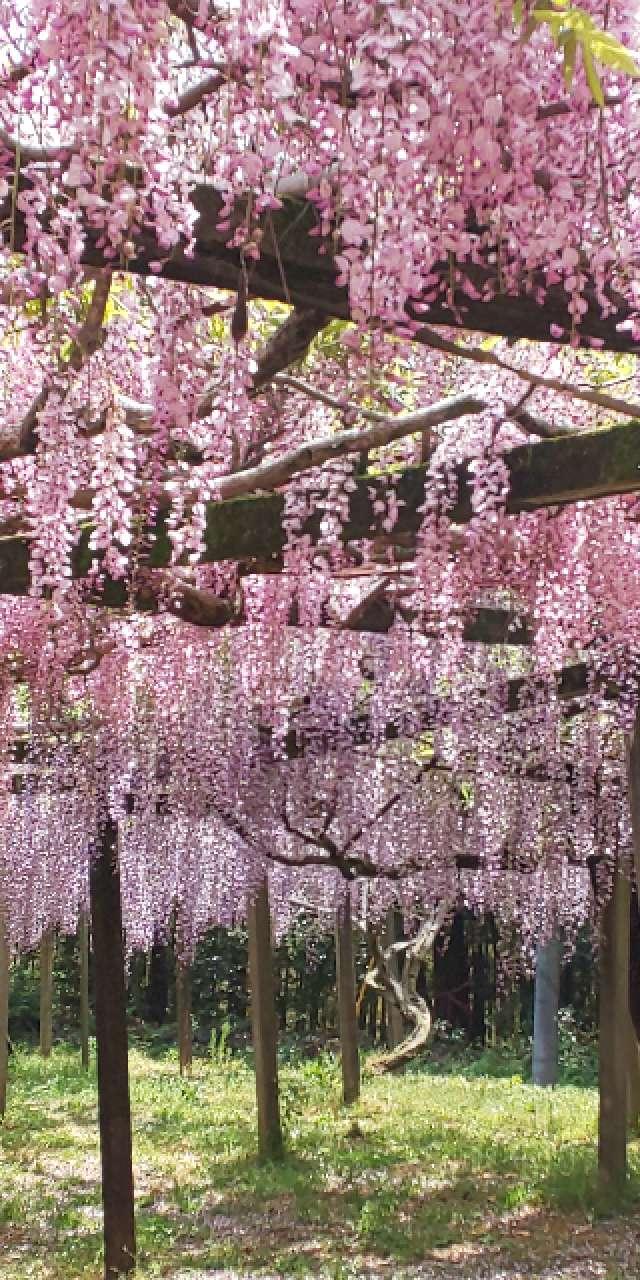 八所宮の参拝記録10