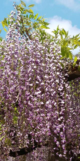 八所宮の参拝記録(ひのえ♪さん)