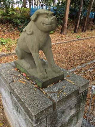 示現神社の参拝記録(こまいぬおさん)