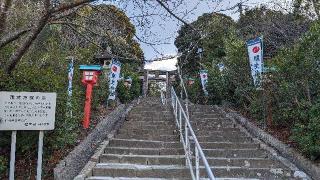 埴生神社の参拝記録(あずき島さん)