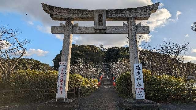 埴生神社の参拝記録5