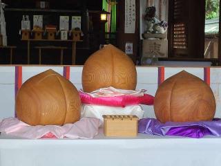 多賀神社の参拝記録(風祭すぅさん)