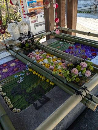 多賀神社の参拝記録(こまいぬおさん)