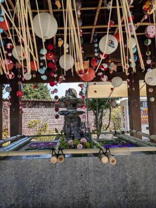 多賀神社の参拝記録(こまいぬおさん)