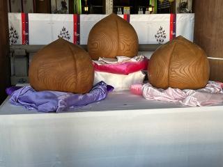 多賀神社の参拝記録(てんさん)