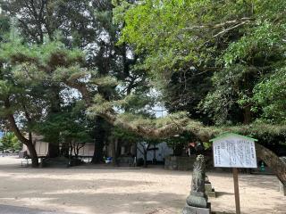 御勢大霊石神社の参拝記録(みんきちさん)