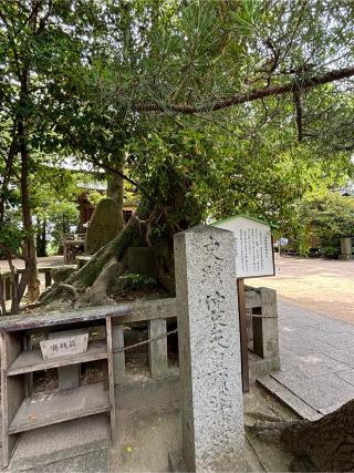 御勢大霊石神社の参拝記録(ほちさん)