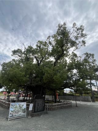 風浪宮(おふろうさん)の参拝記録(りんさん)