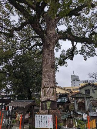 正八幡神社(神田町)の参拝記録(こまいぬおさん)