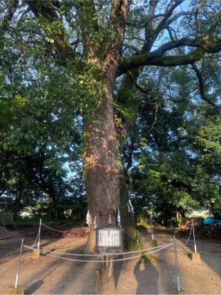 豊日別宮の参拝記録(ユウさん)