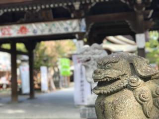 宇美八幡宮の参拝記録(筑紫狼さん)