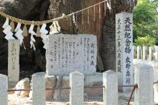 宇美八幡宮の参拝記録(たくや2さん)