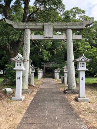 惣社八幡神社の参拝記録(つかぼんさん)
