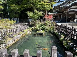 英彦山神宮（奉幣殿）の参拝記録(笹だんごさん)