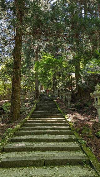 高住神社の参拝記録(あずき島さん)