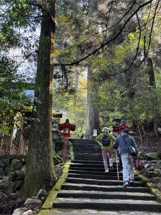 高住神社の参拝記録(ほちさん)