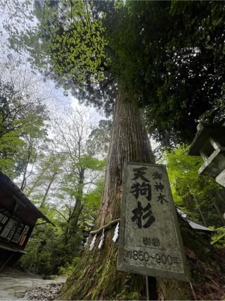 高住神社の参拝記録(りんさん)