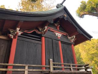 白鬚神社(川久保)の参拝記録(ふるかわさん)