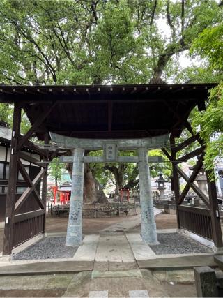 松原神社の参拝記録(てんさん)