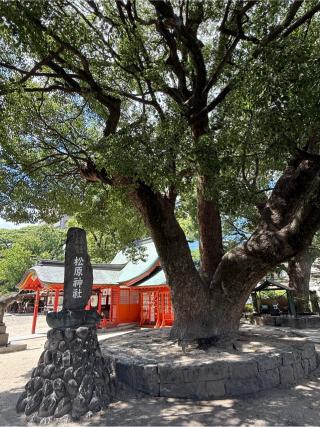 松原神社の参拝記録(32hiroさん)