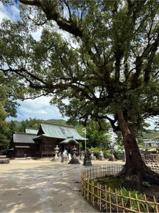 與止日女神社(川上 肥前国一宮)の参拝記録(32hiroさん)