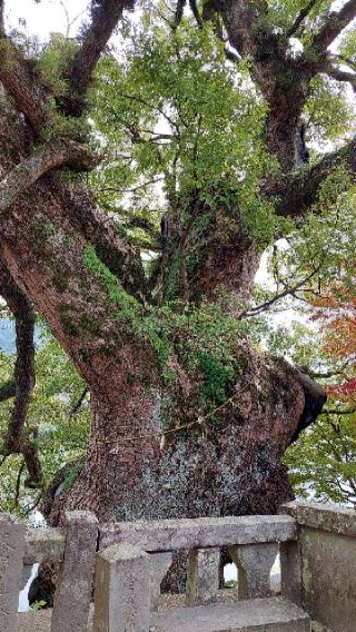 與止日女神社の参拝記録(るびーさん)