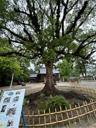 與止日女神社の参拝記録(B4-61さん)