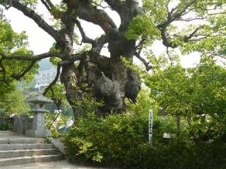 與止日女神社(川上 肥前一宮)の参拝記録(Mu.(全国一ノ宮神社巡拝中)さん)