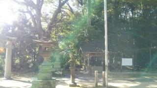 淀姫神社の参拝記録(だいきちさん)