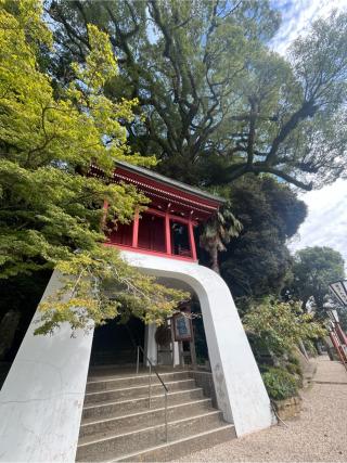 伊萬里神社の参拝記録(りんさん)