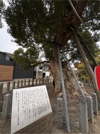 櫛田宮の参拝記録(ほちさん)