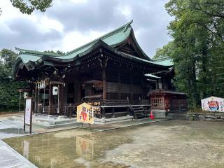 唐津神社の参拝記録(笹だんごさん)