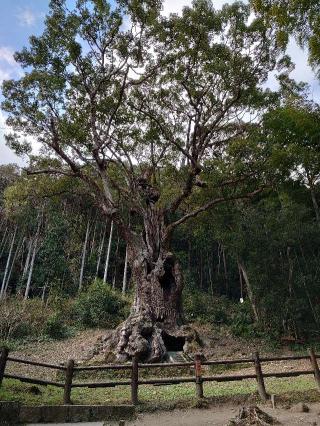 武雄神社の参拝記録(なぬなぬさん)