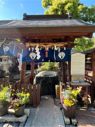 豊玉姫神社の参拝記録(てんさん)