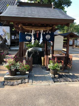 豊玉姫神社の参拝記録(ようさん)