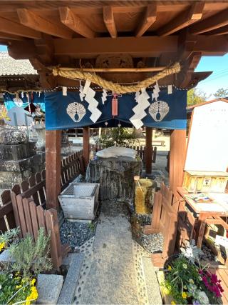 豊玉姫神社の参拝記録(ながれさん)