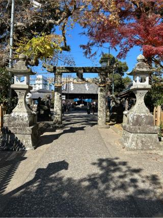豊玉姫神社の参拝記録(ながれさん)