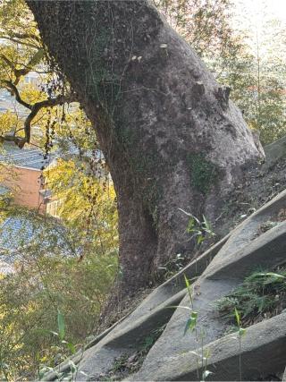 千栗八幡宮（肥前国一宮）の参拝記録(弥栄さん)
