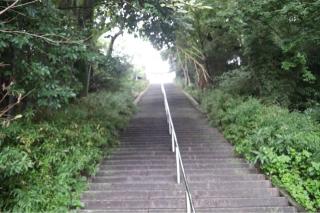 千栗八幡宮（肥前国一宮）の参拝記録(ドラゴンさん)