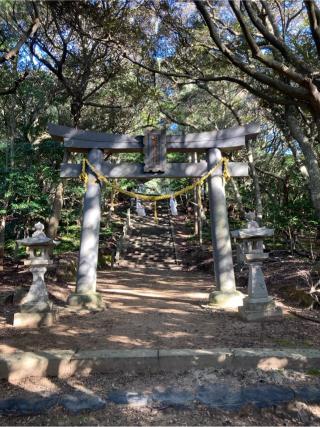 海神神社の参拝記録(2224さん)