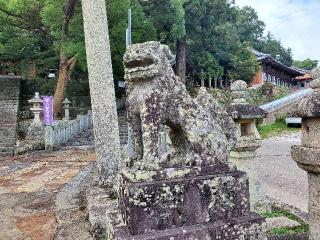 厳原八幡宮神社の参拝記録(飛成さん)